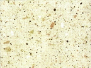 Vízzáró D93QZ Chip Sand
