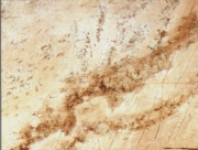 Vízzáró WY6QZ Sand Mohave matt