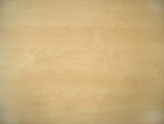 H1733 ST9 Mainau nyír