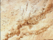 Vízzáró WY6QZ Sand Mohave matt